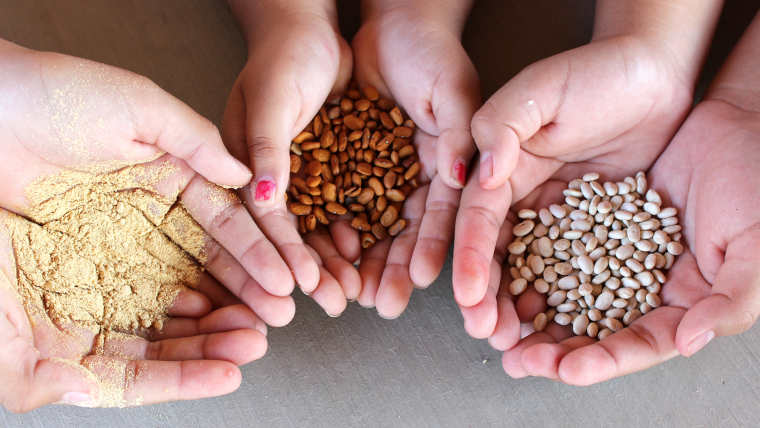 Three sets of cupped hands holding beans, seeds, and cornmeal