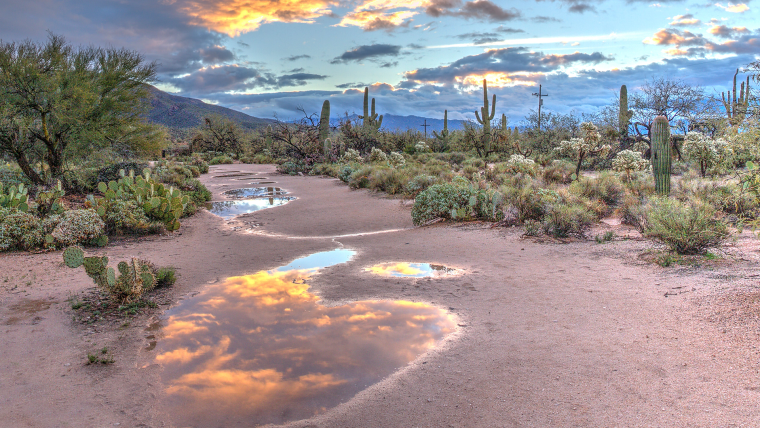 A view of desert landscape.