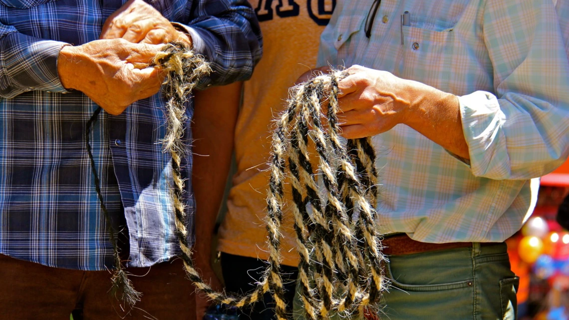 Fiber, Fur and Fun